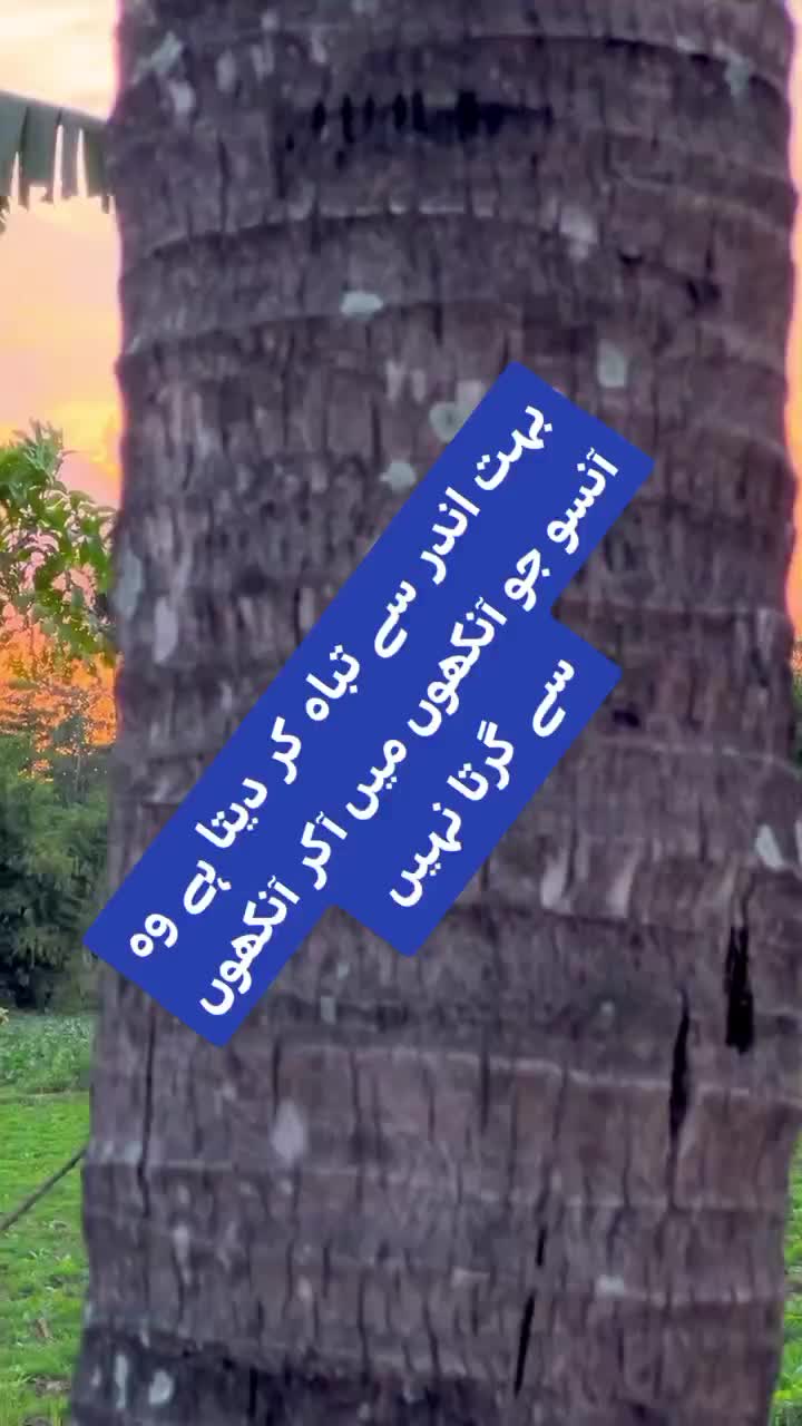 @ishq ibadat