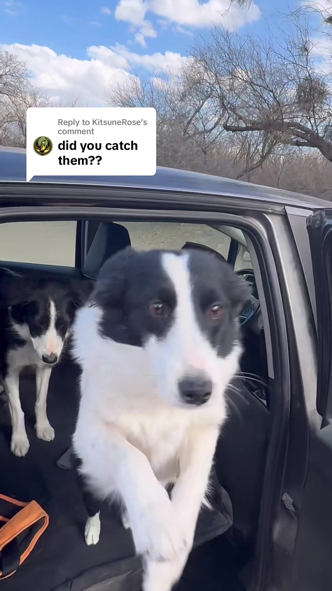 @Made_by_Dog