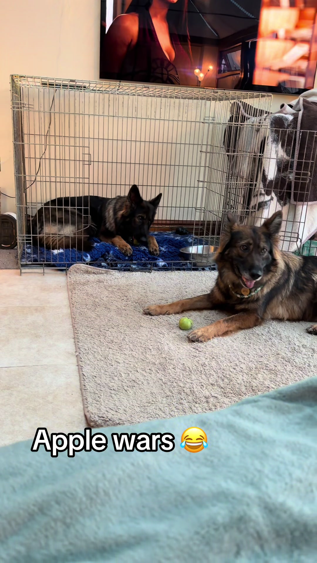 @TheGSDhubwithjennygould