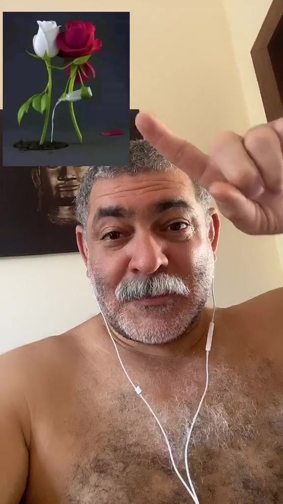 @🇧🇷🇧🇷falconbear99🇧🇷🇧🇷