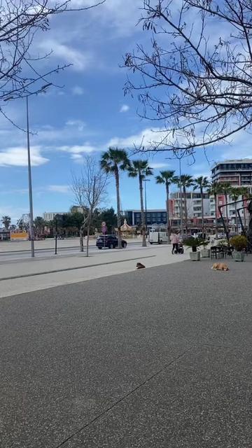 @geni__vlore1