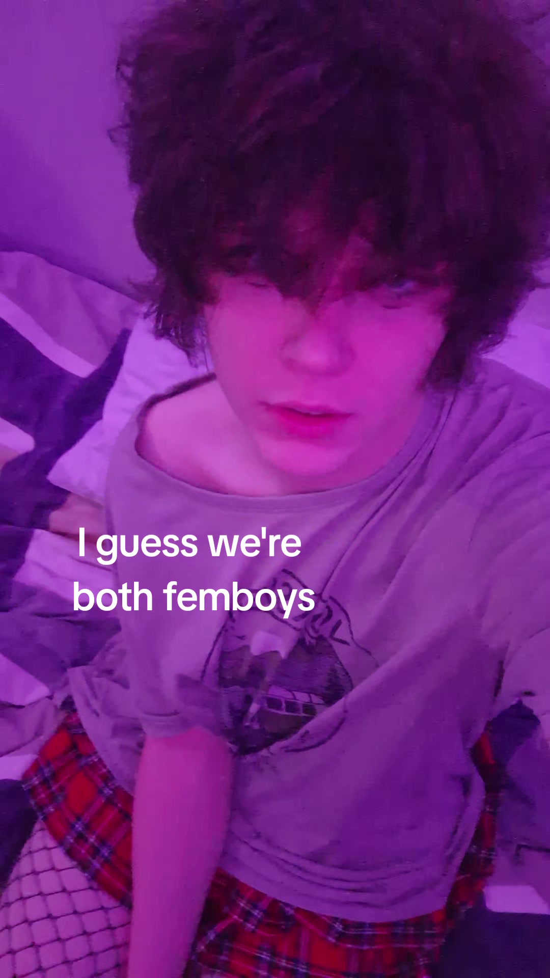 @catboy lilac