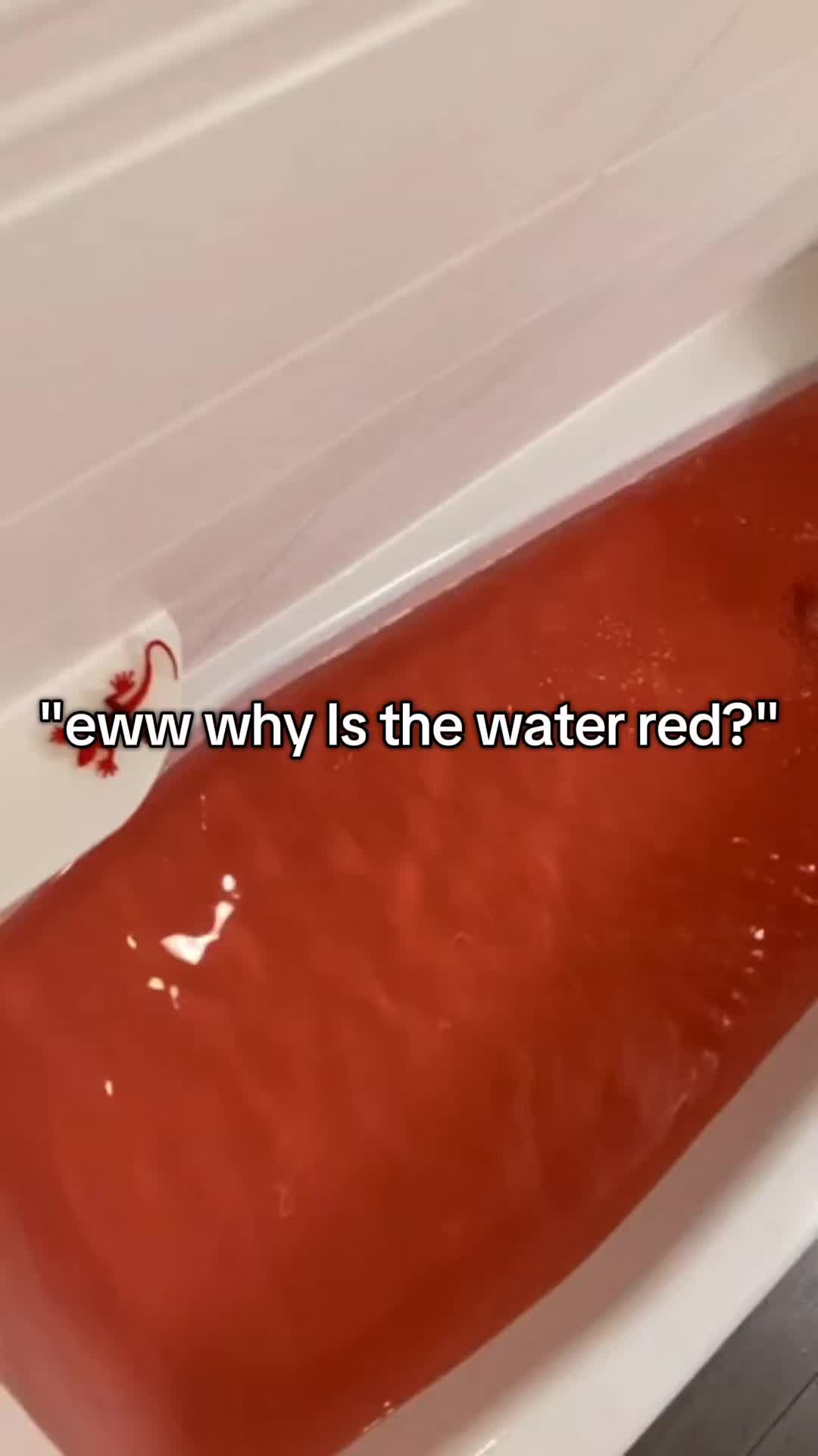@-w-