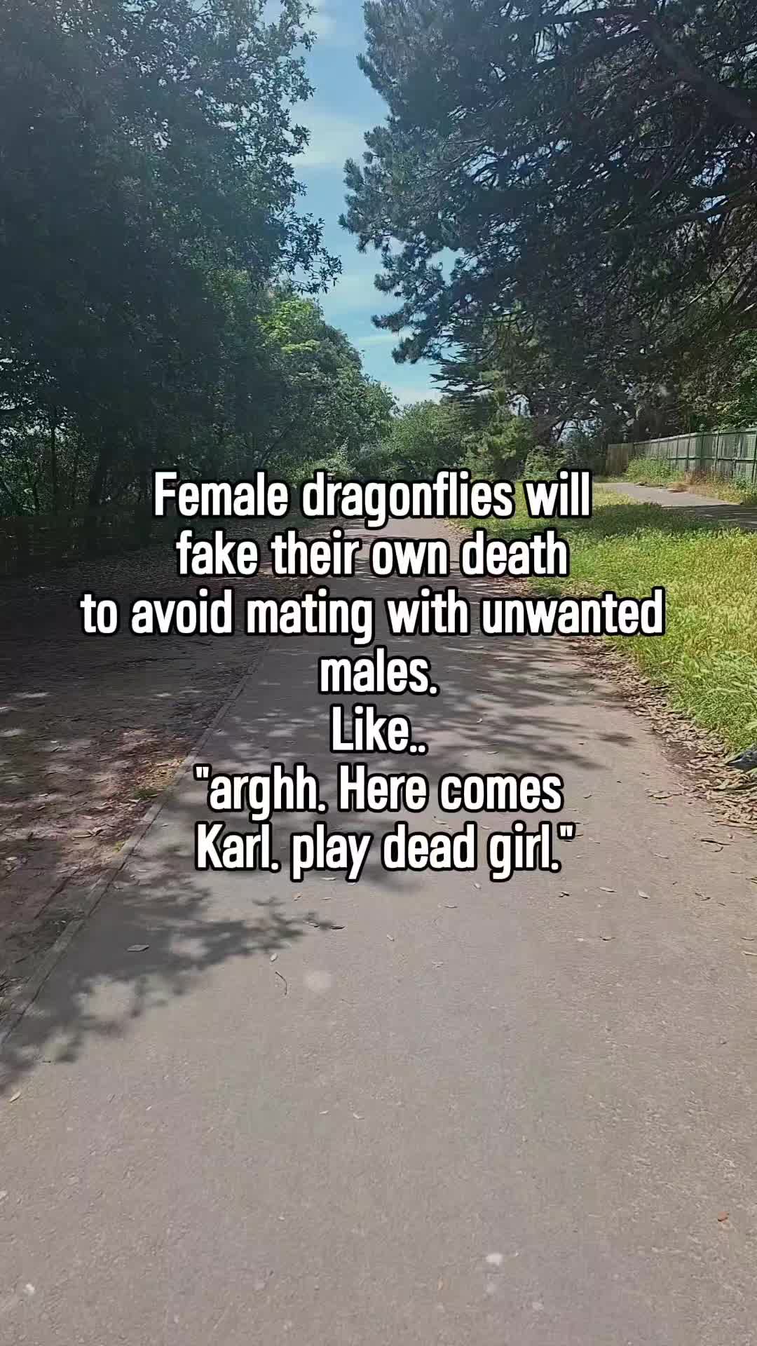 @L