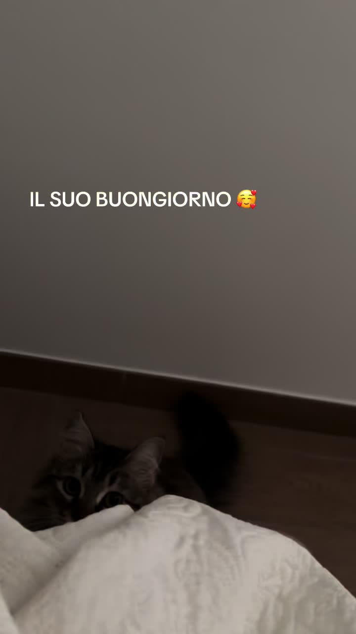 @Pia Tufano
