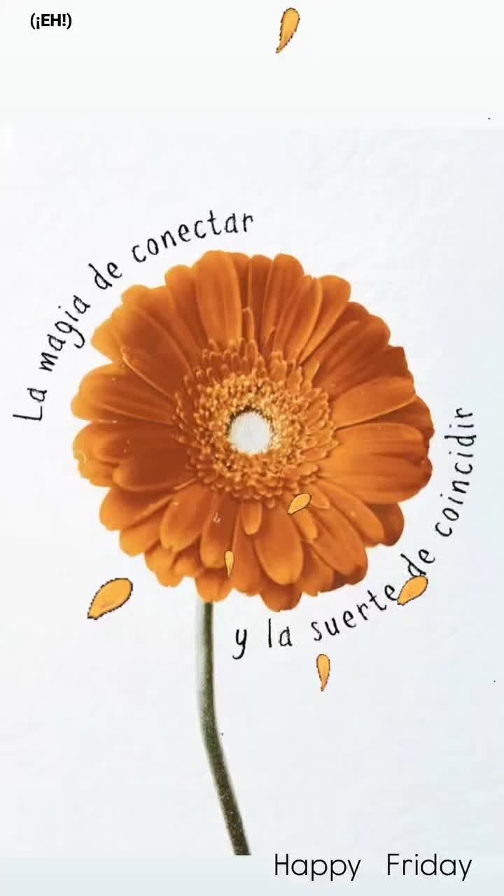 @CuTuta_Grace