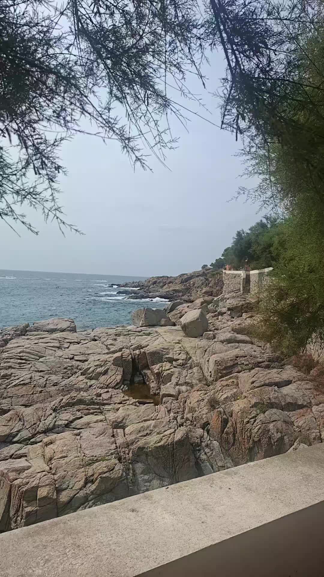 @Ceci🐼RL🇭🇳