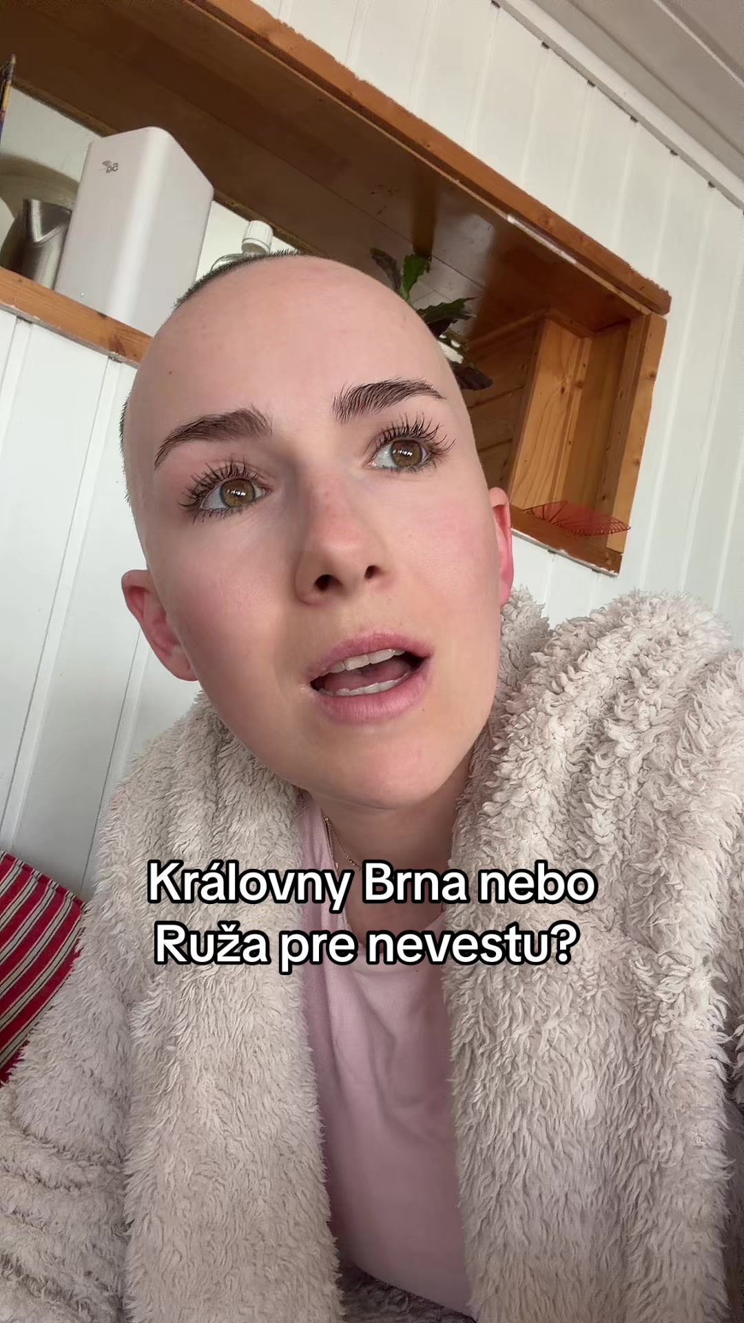 @barbora.zubkova