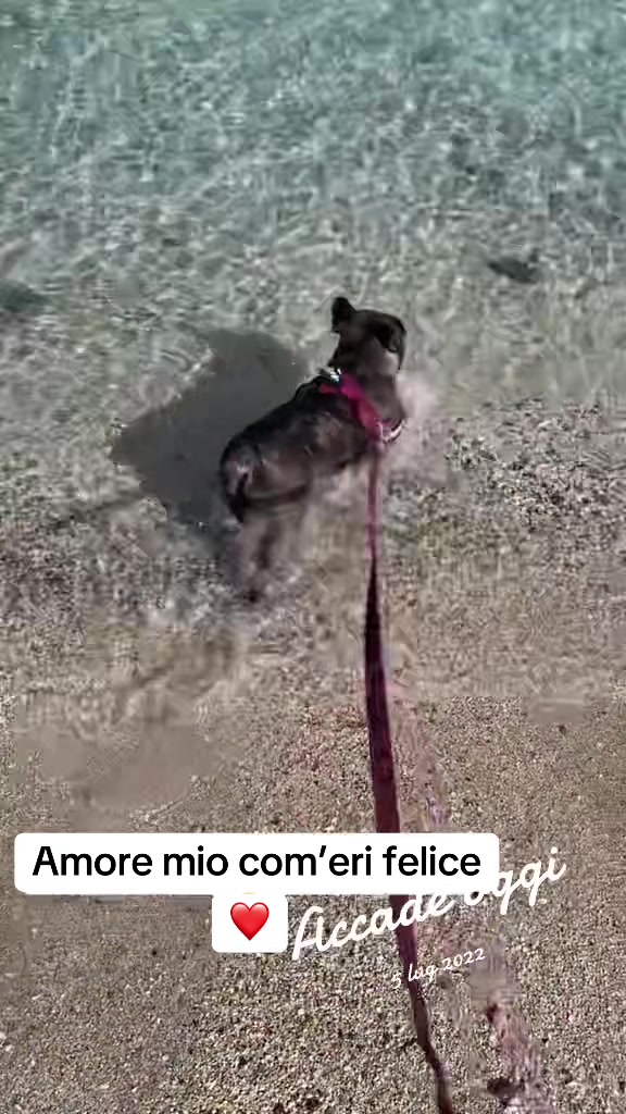 @RobiliaDeMin