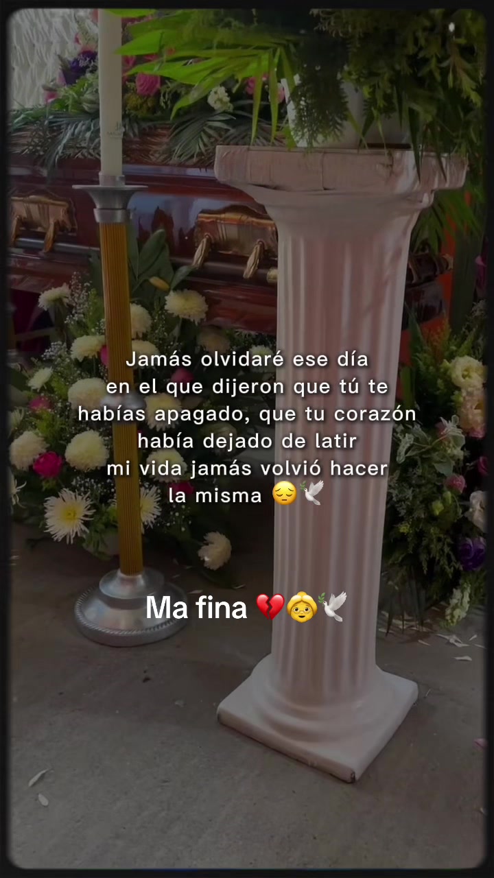 @Echeverria RosArely🌹🎈📸👩&zwj;🎨