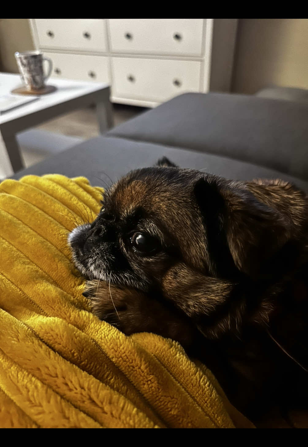 @Náš veterinář