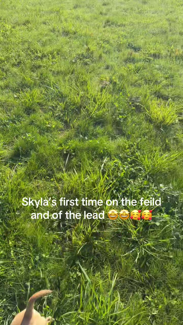@Jen🪽🕊️🤍