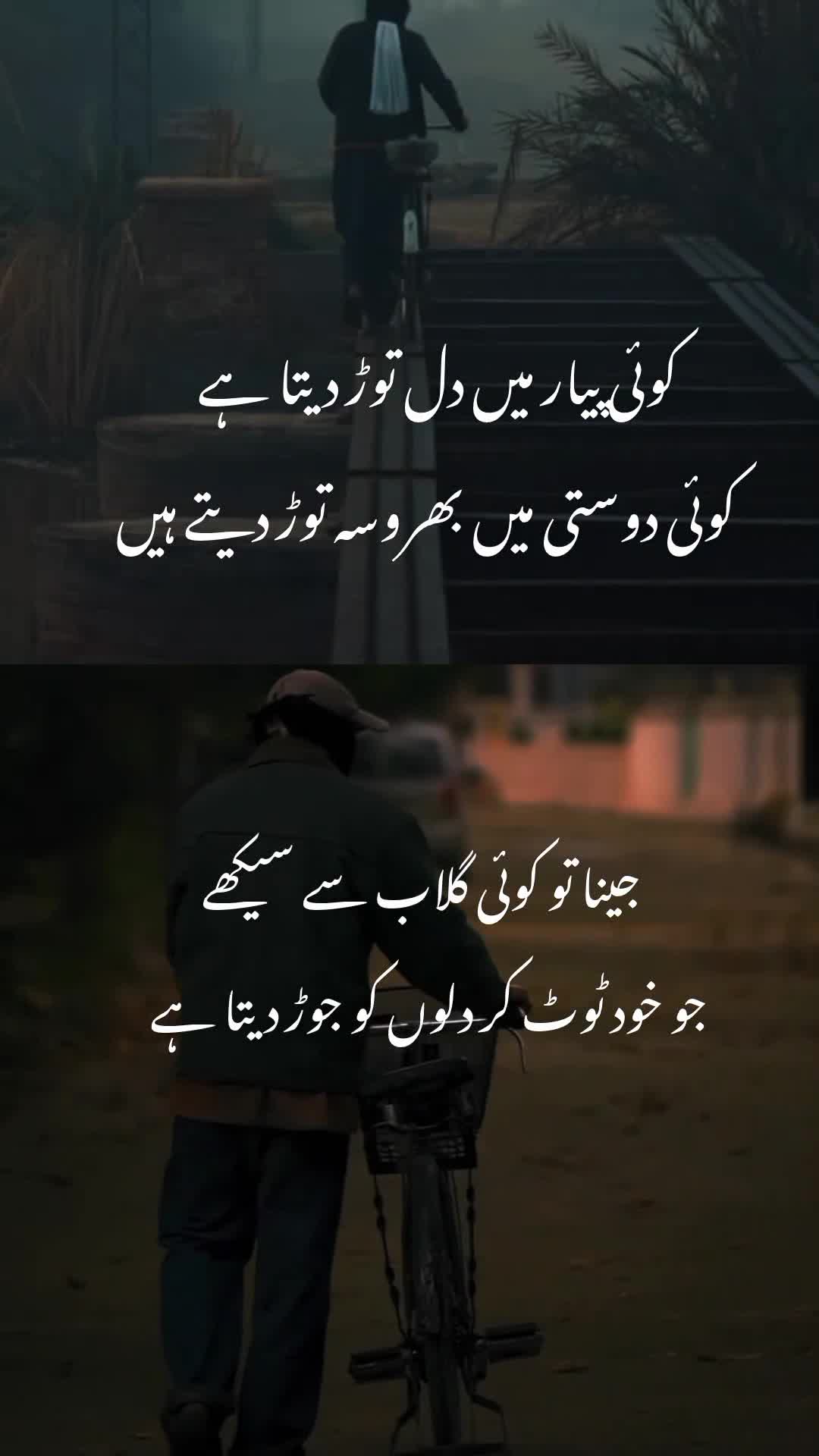 @Mughal writes