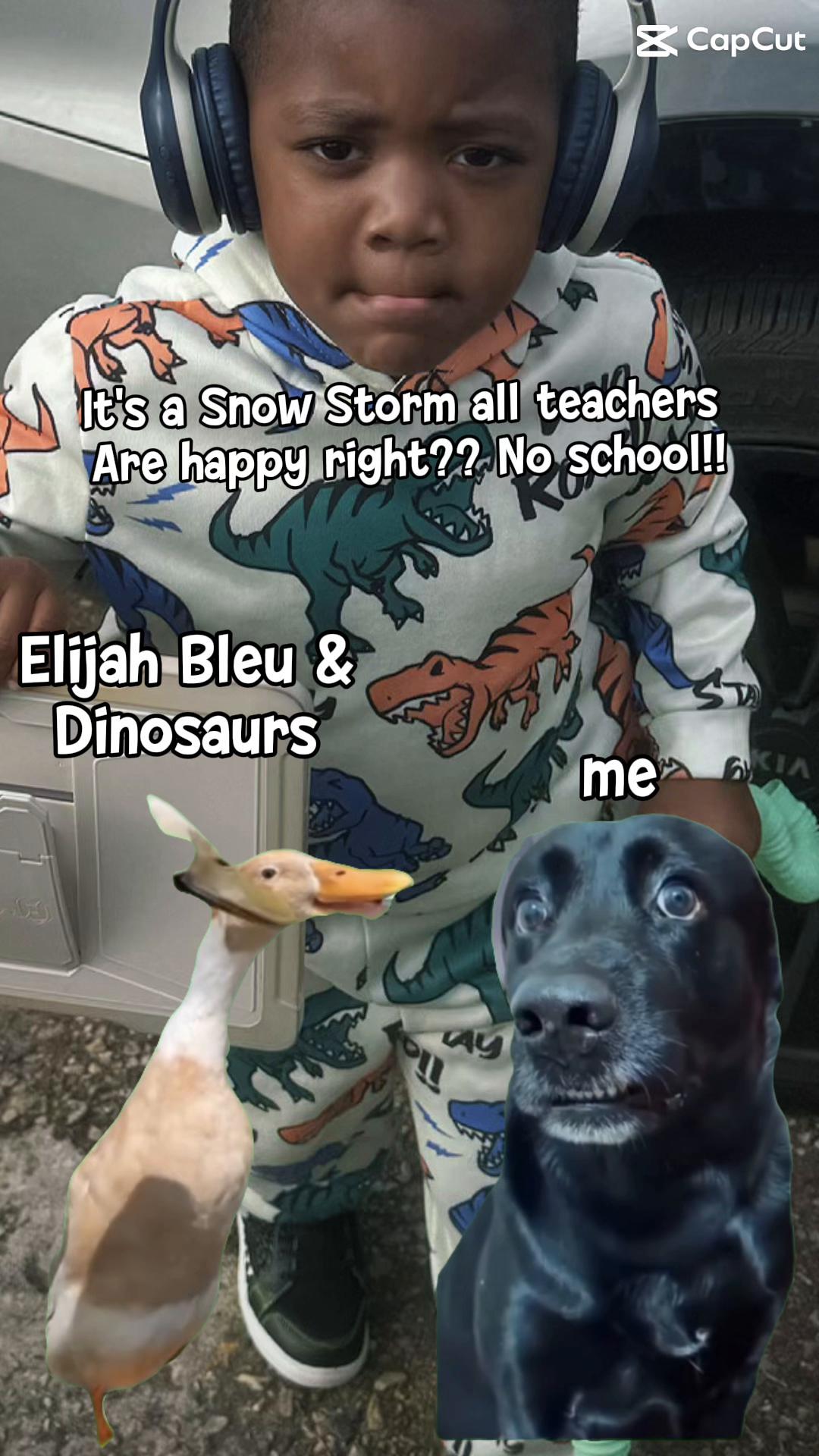@Aja Lee