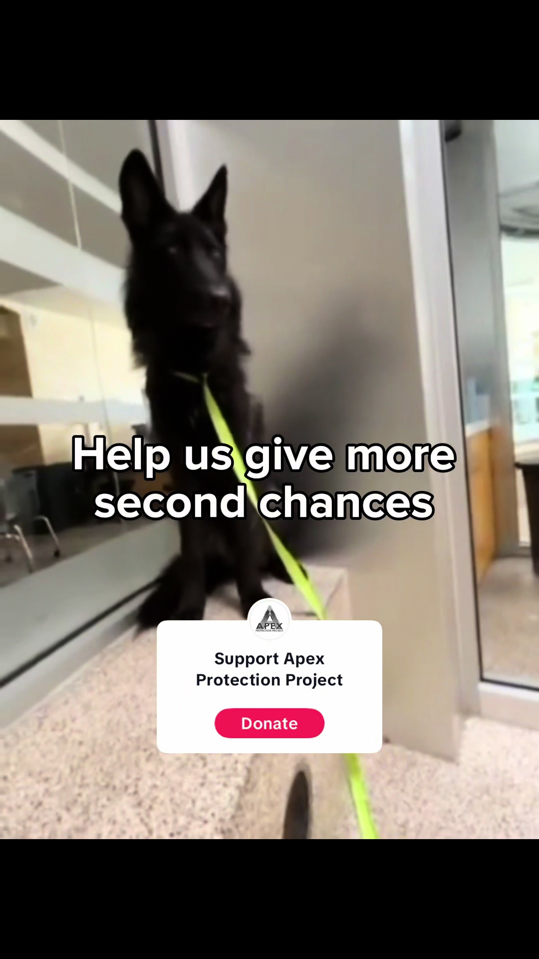 @ApexWolves
