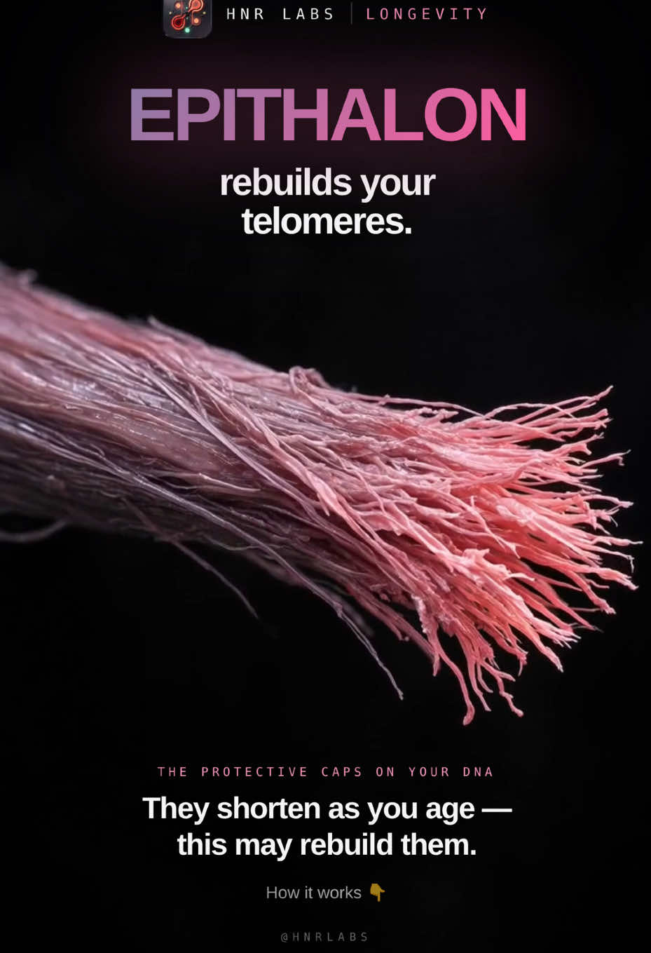 @HNR Labs