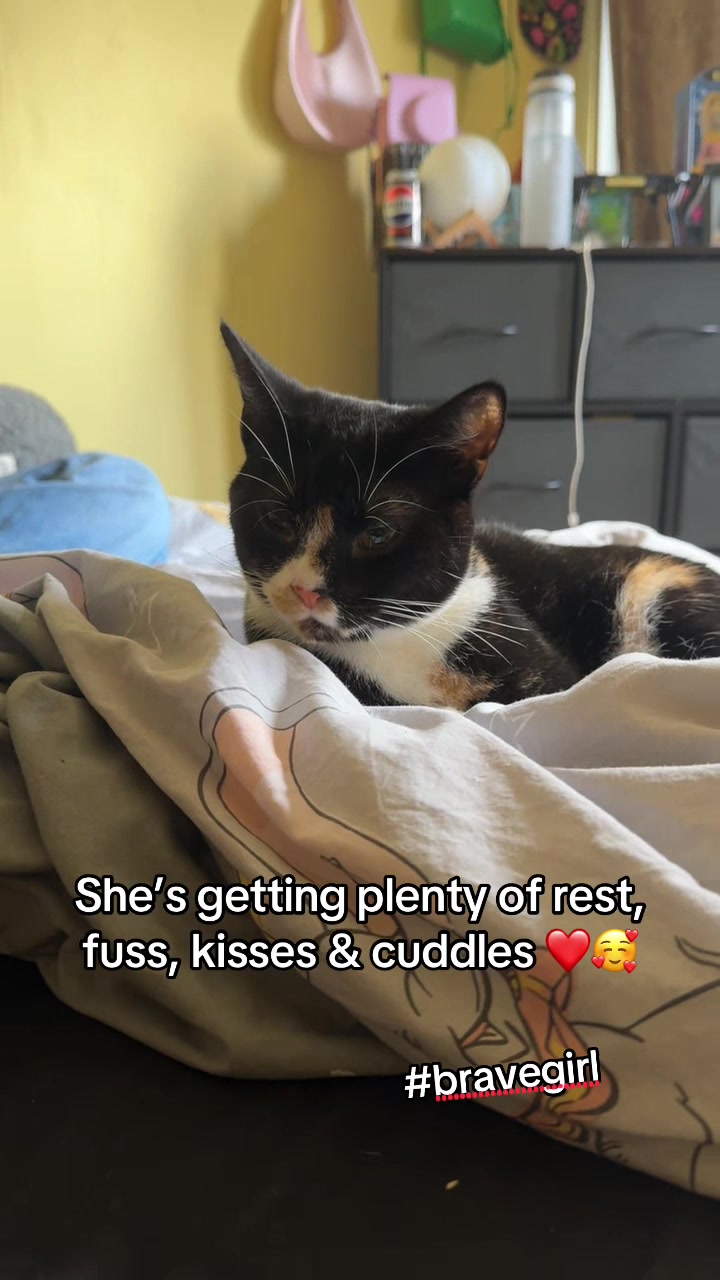 @Paigeyy