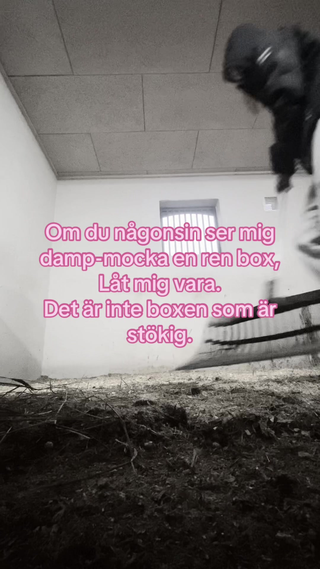 @Tuva Zettergren