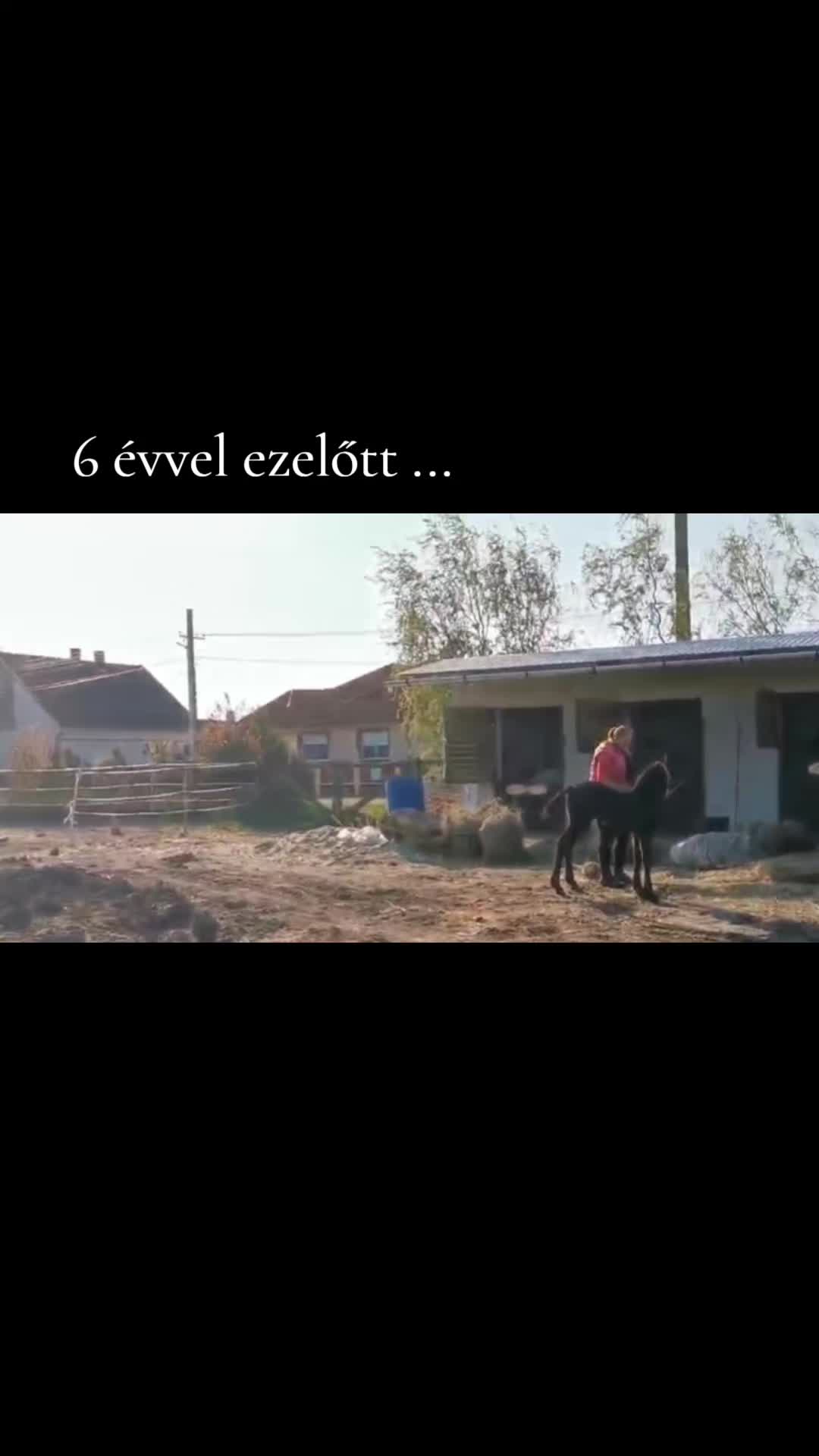 @꧁༒𝓔𝓻_𝓩𝓼𝓲𝓴𝓮༒꧂ 🪽🐶🐴888