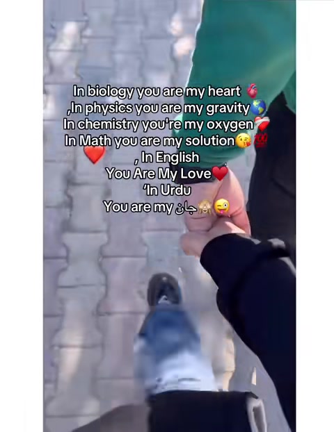 @نواب زادي