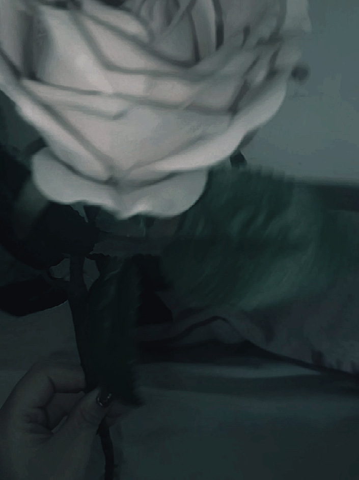 @~❀ Krys XVI Black ✿~