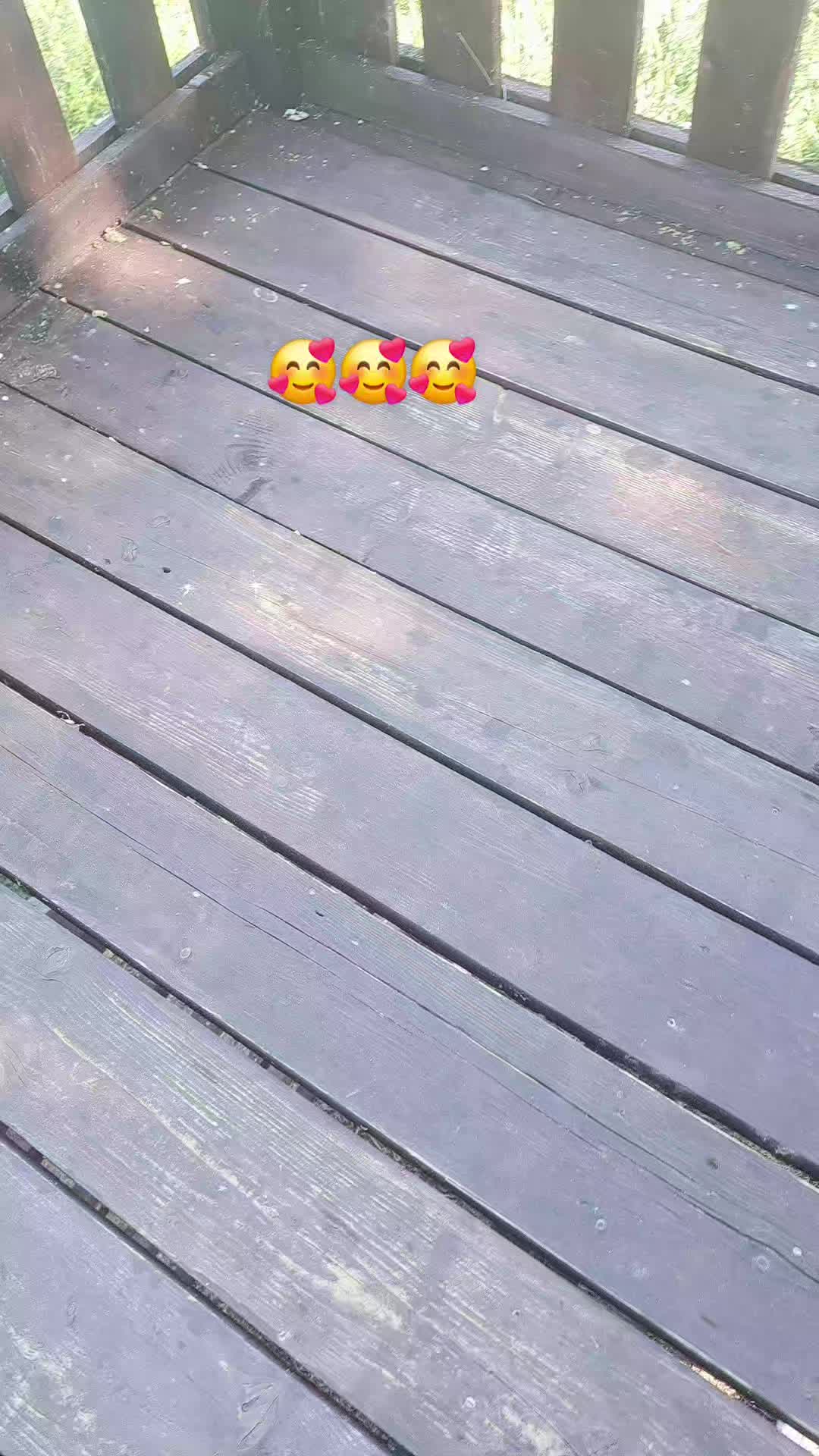 @👑Picis&aacute;rika👑
