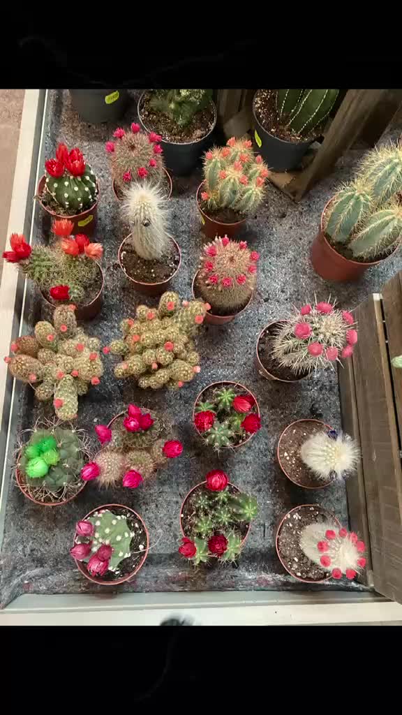 @قرآن كريم