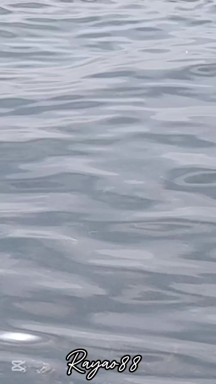 @Jesús🇪🇸