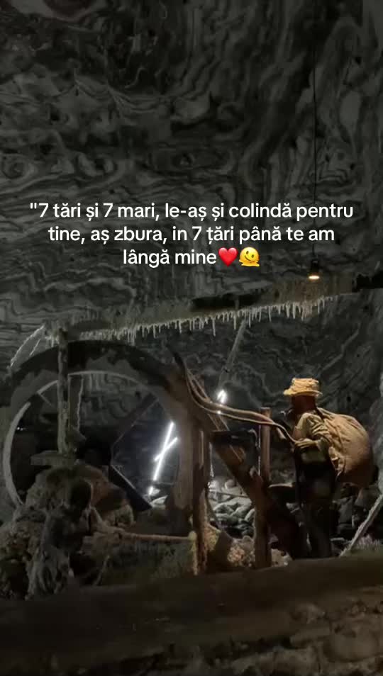 @Purcaru