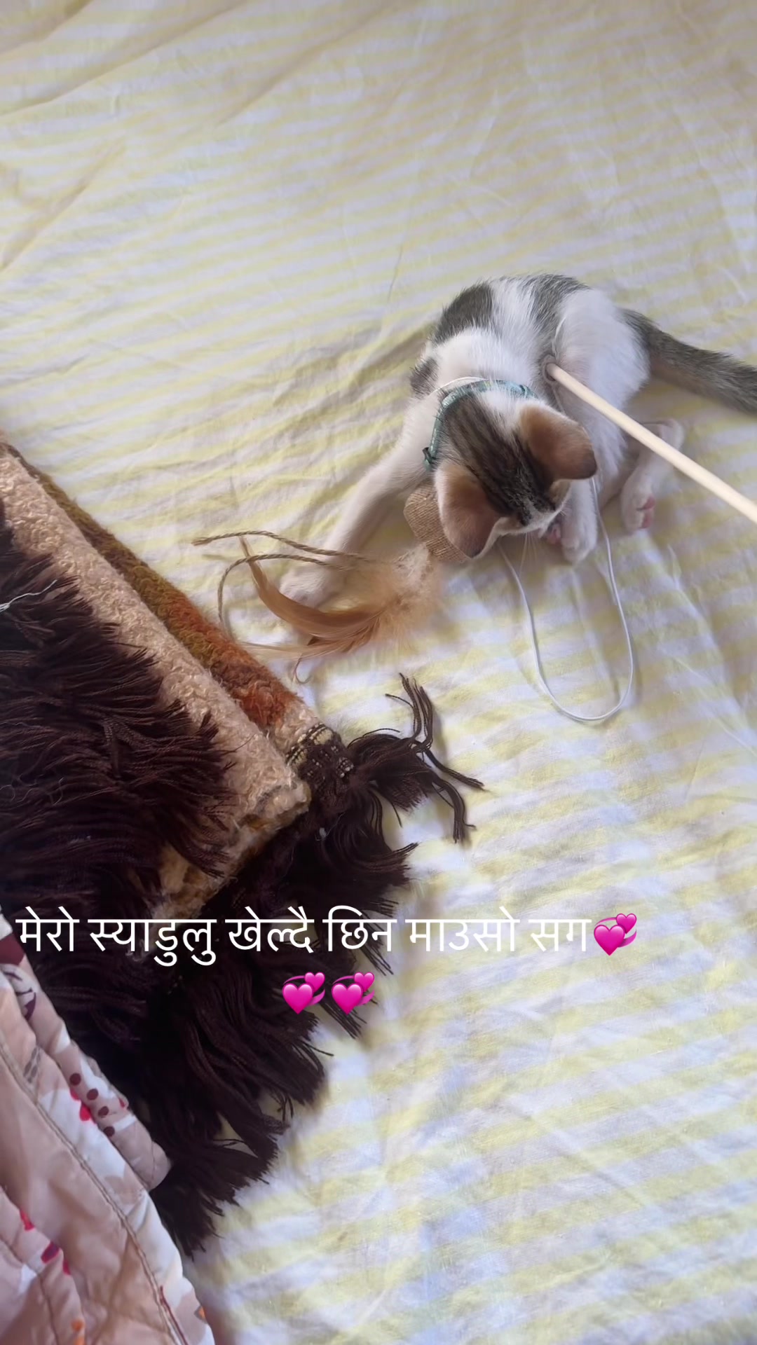 @numalimbu💞