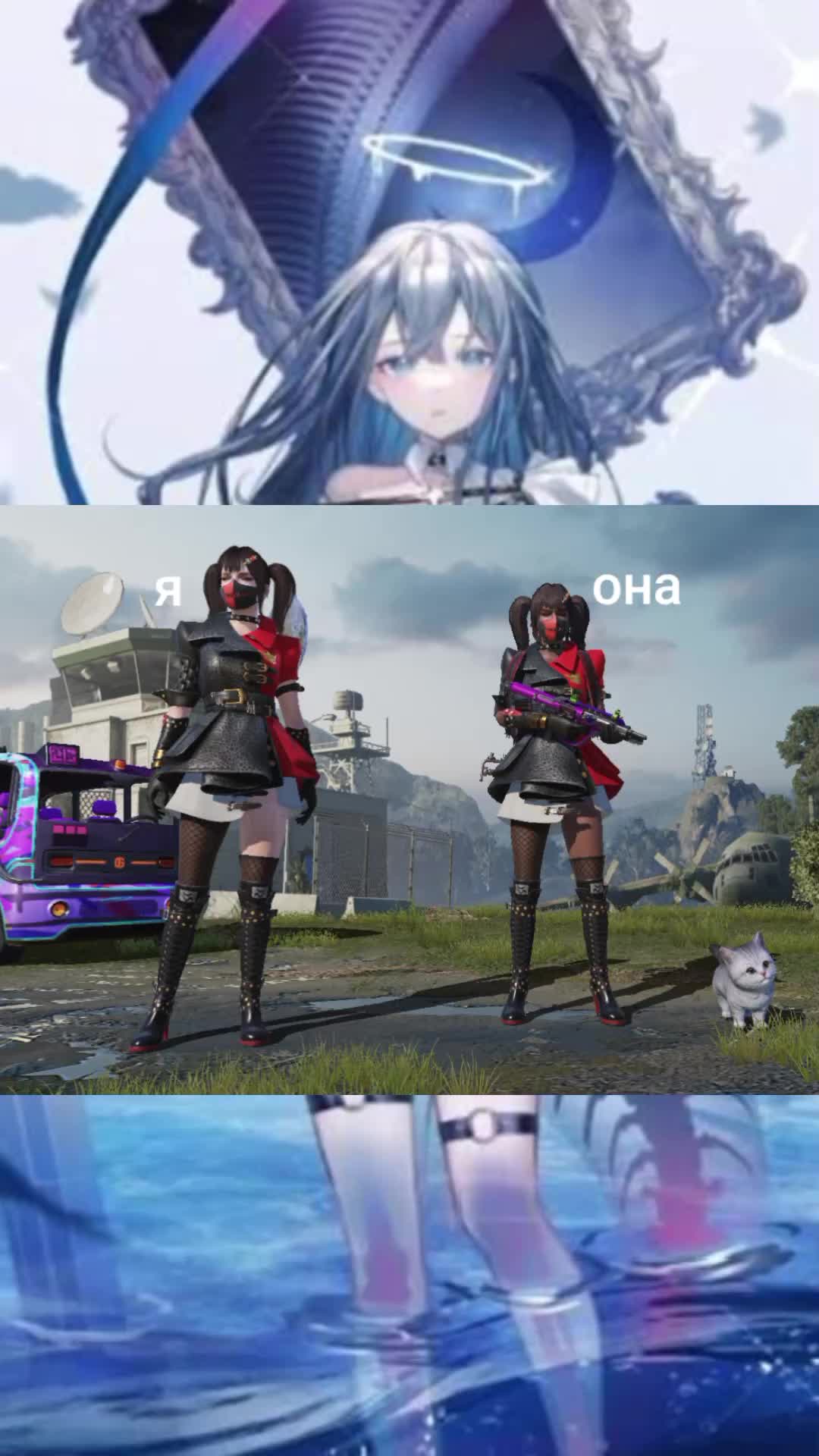 @亗Cot亗