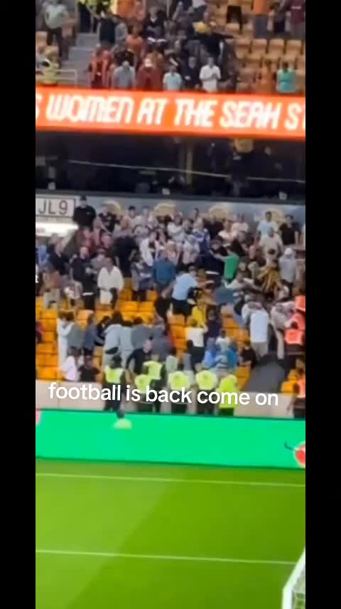 @wolves fan