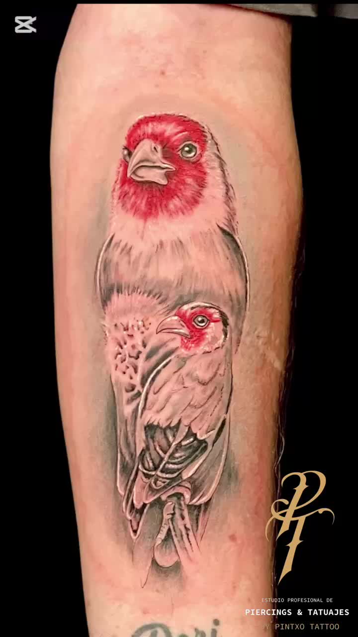 @Pintxo Tattoo