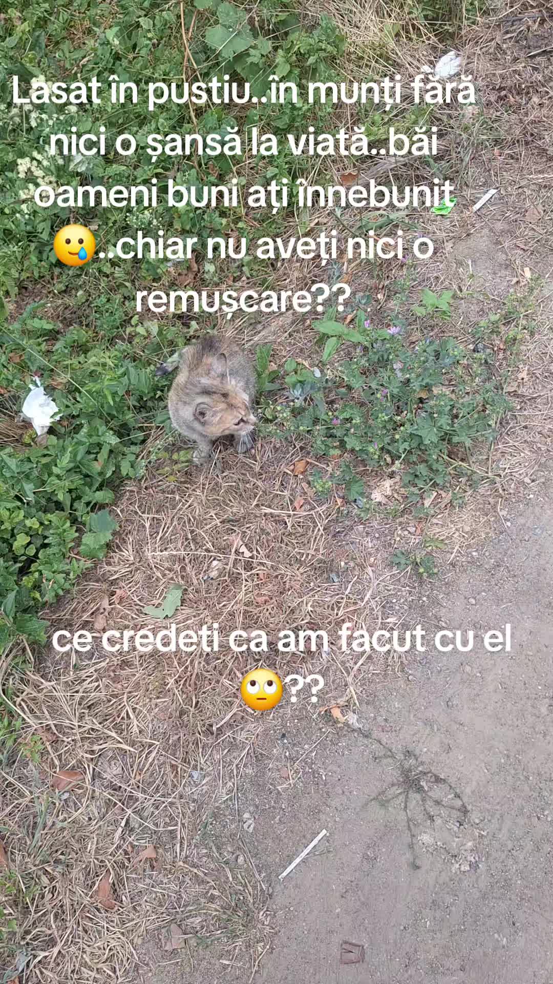 @Rali