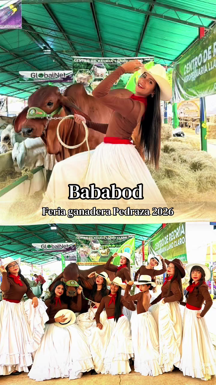 @bababod.ve