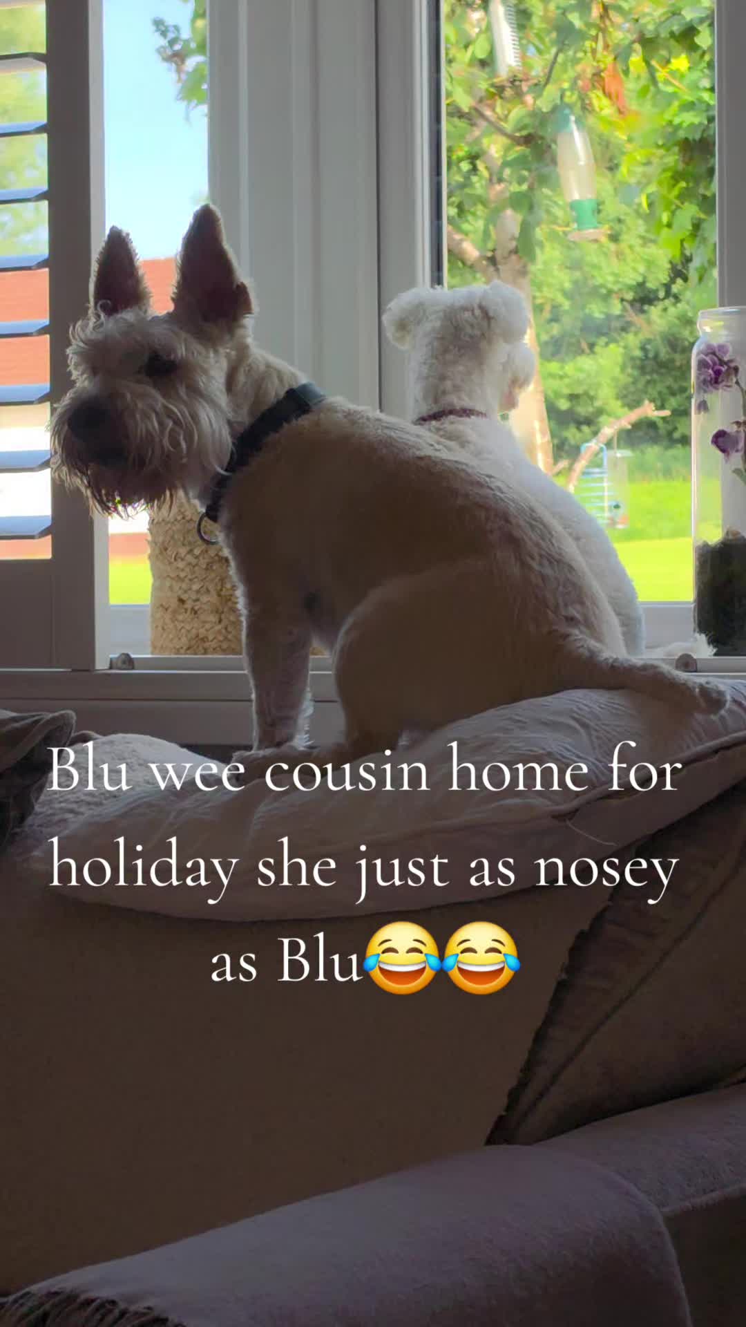 @Seamie 11 11