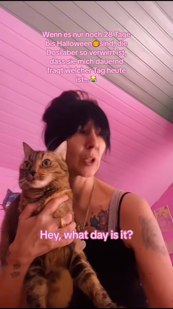 @Fellbande😻 🐾& Dosi Ulrike😽