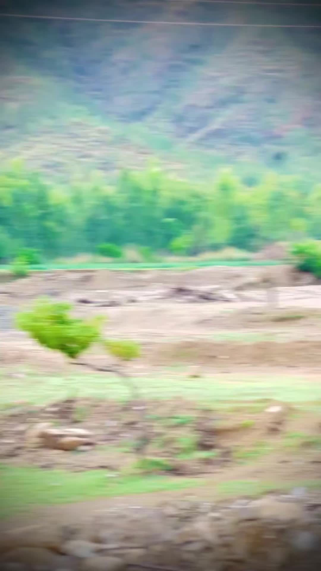 @&ldquo;🥷اعزاز بچا 🥷&rdquo;