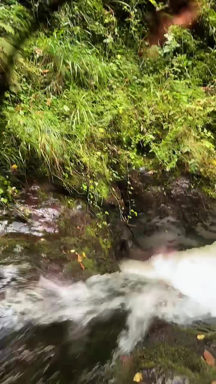@Angel hikes⛰backup