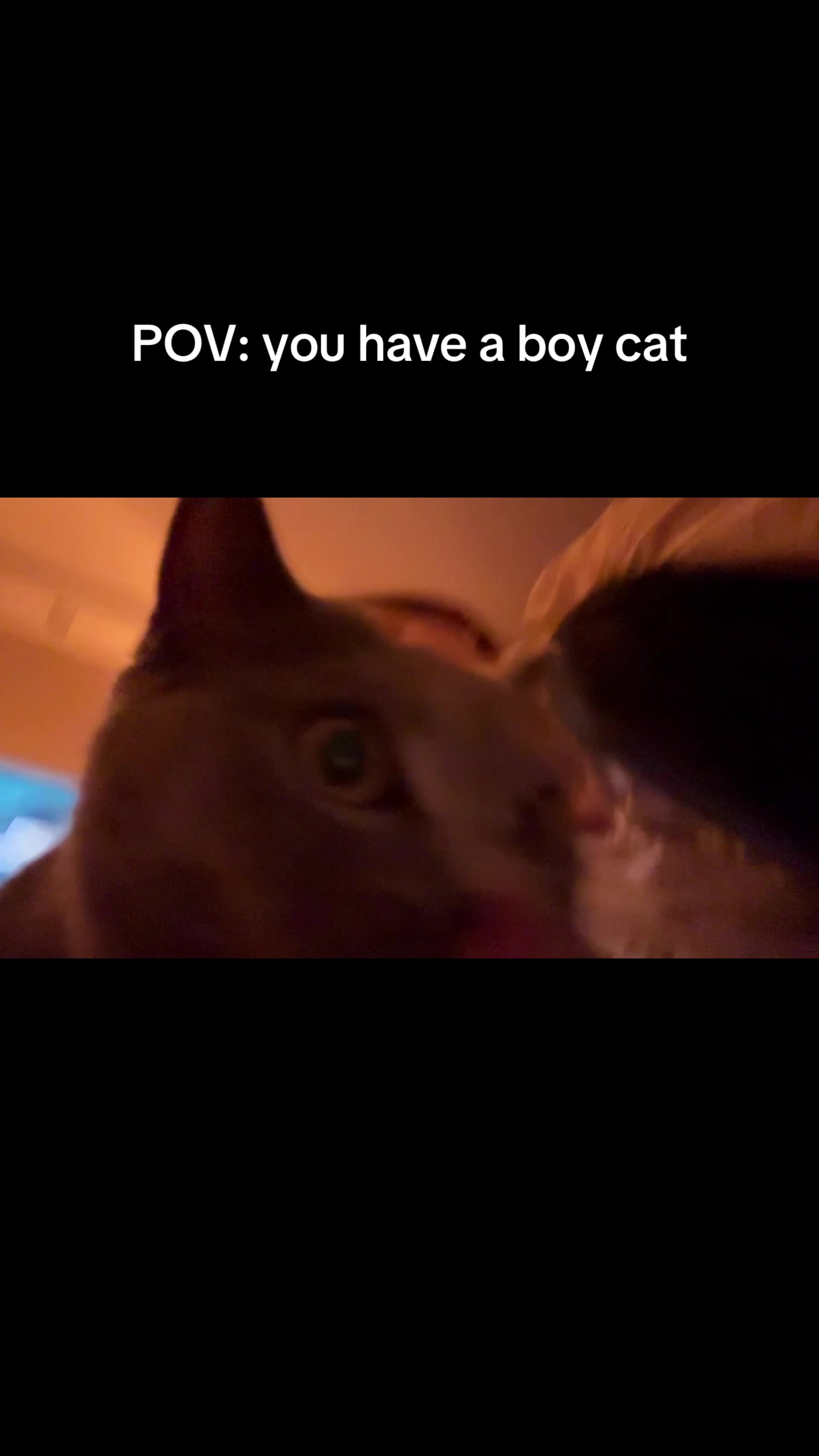 @𝓟𝓪𝓽𝓲