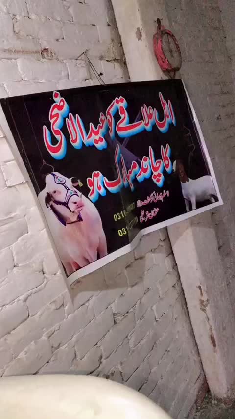 @درویش لوگ