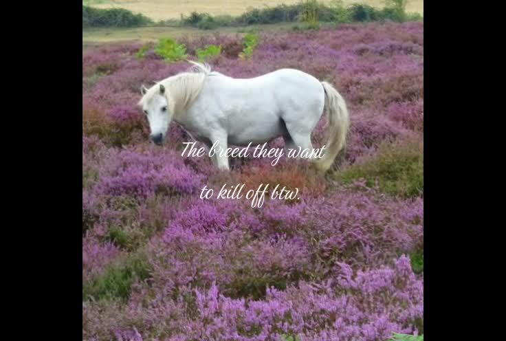@✿.•♫•♬•𝐒𝐮𝐦𝐦𝐞𝐫™•♬•♫•.✿