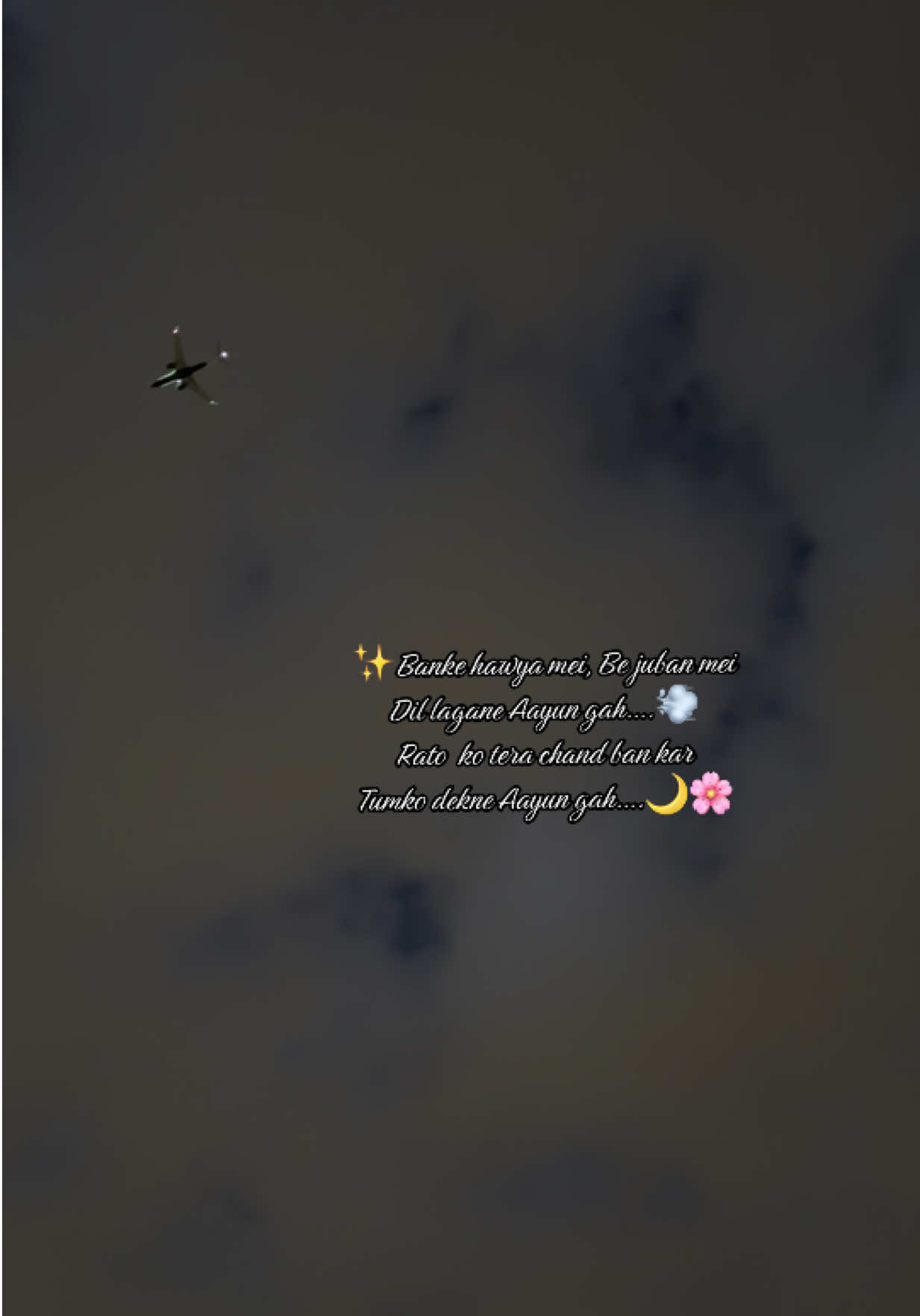 @Alin🦋@ 6775🇨🇦🕊️