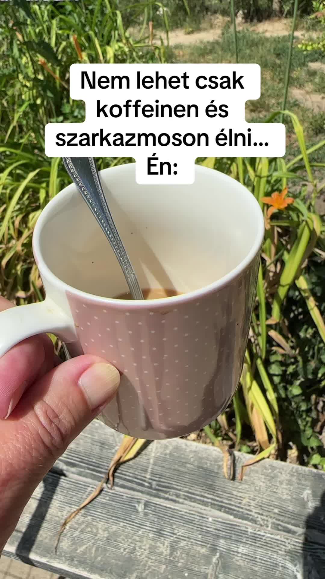 @#faszkivan