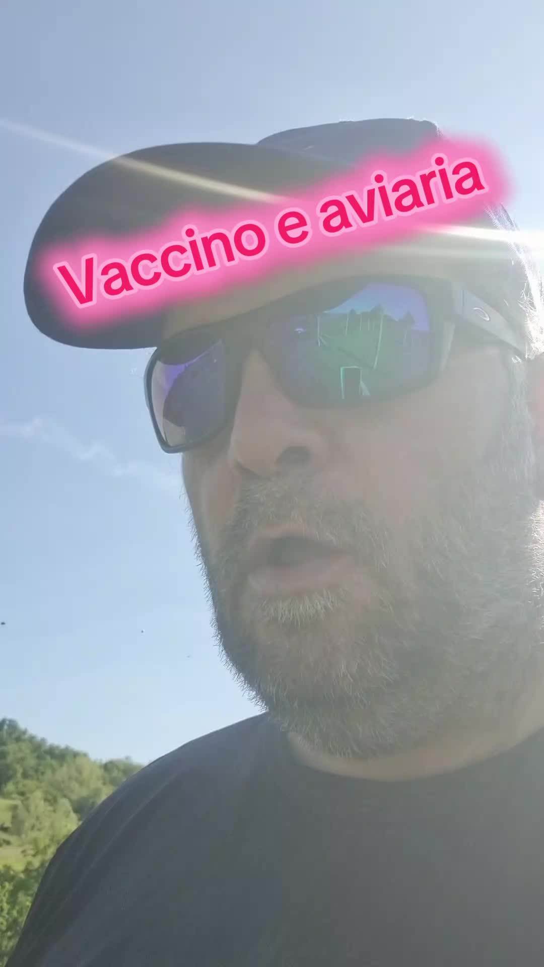 @Il leone e la gallina