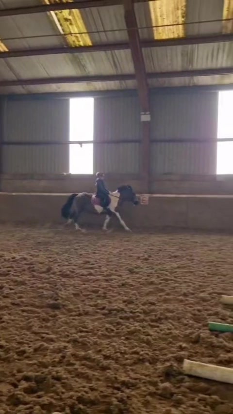 @Saoirse🪽🐎
