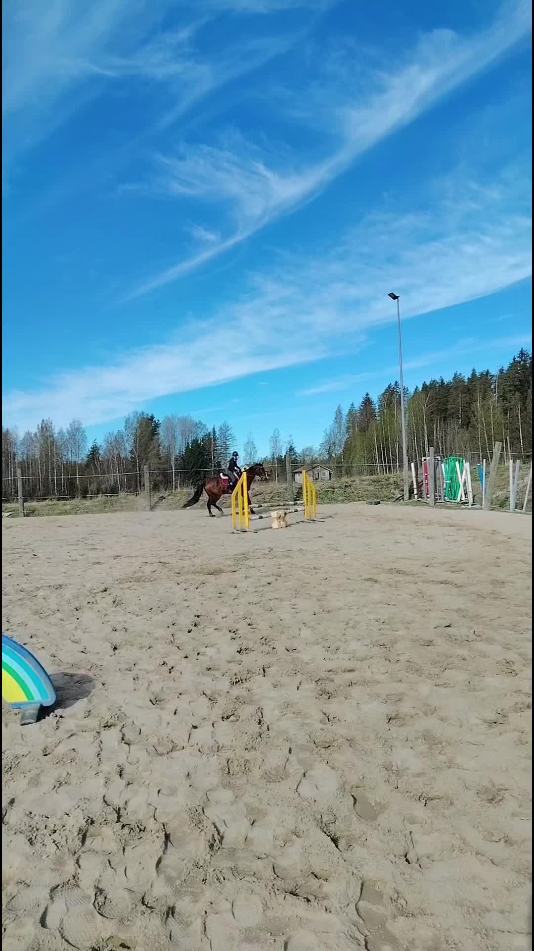 @eq.ricciardella
