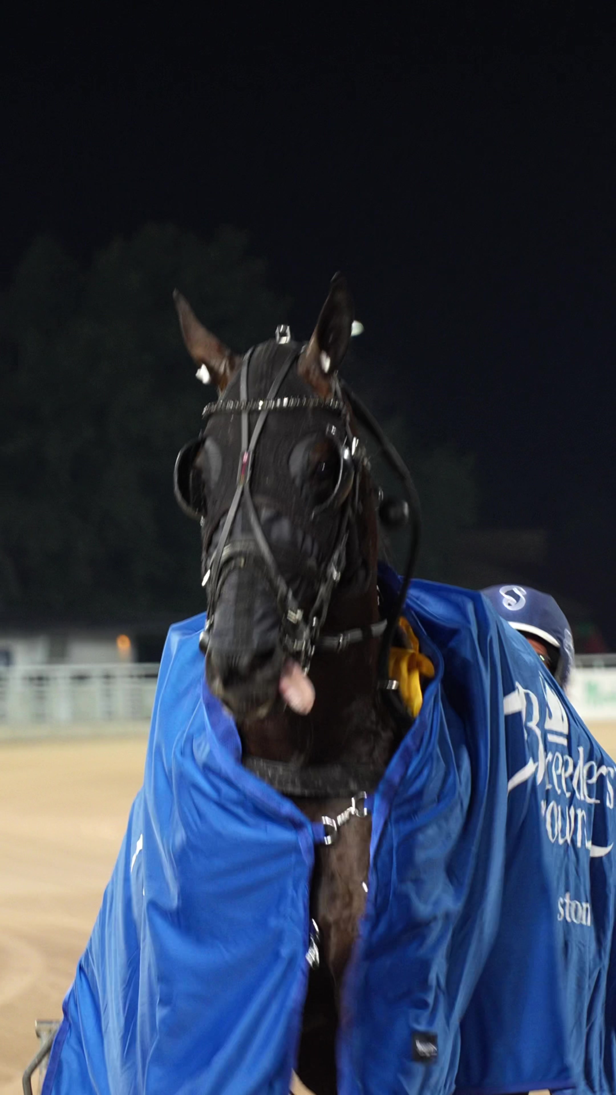 @Solvalla
