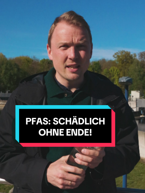 @Gr&uuml;ne im Bundestag