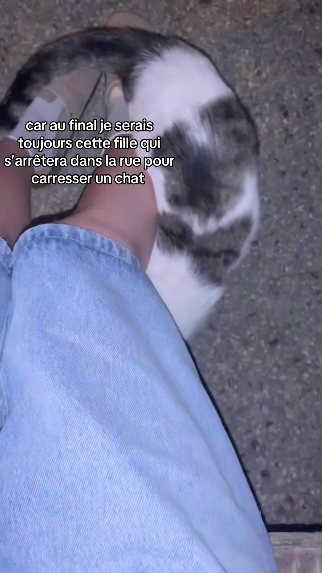 @clemence